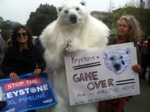 NoKXL_polar bear