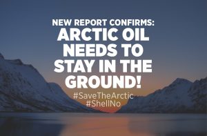 arctic-report-in-the-ground